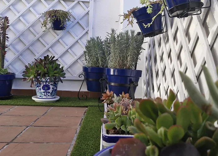 Atico Catedral - Centro